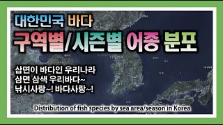 대한민국 바다 구역별/시즌별 어종 분포 - 우리바다를 사랑합시다~! : Distribution of fish species by sea area/season in Korea