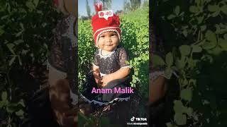 Anam Malik