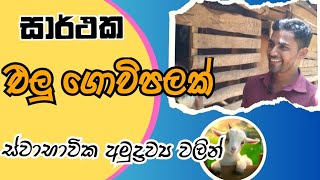 එලු පාලයෙන් නිවසේ සිට අමතර ආදායමක් | elu palanaya