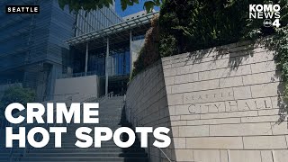 Seattle City Council unveils plan to tackle crime and drug hot spots, seeks urgent action