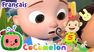 Cinq petits singes | CoComelon en Français | Chansons pour bébés