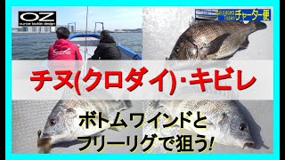 ボトムワインドとフリーリグで狙うチヌ(クロダイ)とキビレ 武庫川渡船チャーター船