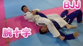 タックル パスガード 腕十字 ブラジリアン柔術 BJJ