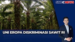 Panel Report WTO 10 Januari 2025 Putuskan Uni Eropa Diskriminasi Sawit RI | Sindo Sore | 19/01