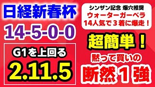 日経新春杯2025【超簡単！黙って買いの断然１強】シンザン記念の爆穴推奨 14人気ウォーターガーベラ3着に爆走！