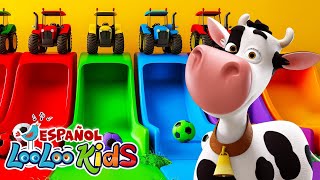 La Vaca Lola 🐄 - Canciones Infantiles con LooLoo Kids Español | Música Educativa para Niños