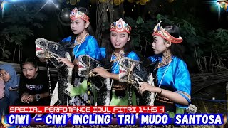 Ciwi - Ciwi Incling Tri Mudo Santosa