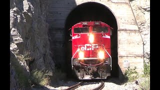 4K!! BIG Canadian National and CPKC Trains in Southern, British Columbia! #railway #train