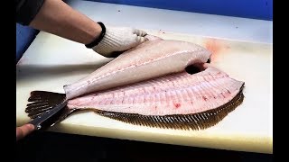 완도산 명품 광어 회뜨기(서울 목동) flatfish sashimi, Korea 牙鲆  ヒラメ [맛있겠다 Yummy]