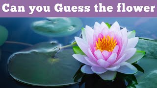 Guess the flower name / flowers quiz / science quiz/ biology quiz/gk/trivia for kids/quizzes