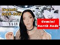 The Gemini North Node Transit & 5 Steps for Succeeding | 2020-2022 Prediction