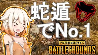 【PUBG】大地を這って11キル優勝【ONEちゃん】