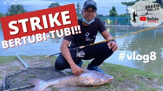 Repeat Kolam Harmoni Puchong | Pacak | Mancing Patin | #vlog8