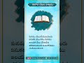 dailypromise dailymanna dailybread dailydevotion devotional todaypromise trending 2024 new