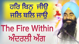 ਹਰਿ ਬਿਨੁ ਜੀਉ ਜਲਿ ਬਲਿ ਜਾਉ | The Fire Within | ਅੰਦਰਲੀ ਅੱਗ | Inderjit Singh Goraya (Pathankot)