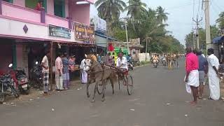 கரிச்சான் குதிரை பந்தையம்