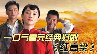 一口气看完经典好剧《红高粱》完整解说，周迅朱亚文演技封神，莫言看完流泪 #中国电视剧 #大陆剧