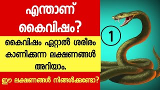 കൈവിഷം ശരീരം കാണിക്കുന്ന ലക്ഷണങ്ങൾ എന്തൊക്കെ, കൈവിഷബാധ ലക്ഷണം എന്താണ് Kaivisham Malayalam Part 1