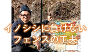 【さよならイノシシ！】田畑を守る物理的イノシシフェンスの工夫と考察。