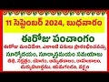 today panchangam || 11 September 2024 panchangam Telugu || today tithi | today good time | 11-9-2024