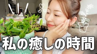 【アメリカ生活】おうち時間で植物を育てる🌿♡\u0026ホームベーカリー【国際結婚】料理｜海外生活