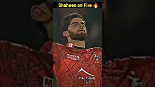 Shaheen Afridi on Fire 🔥 #shorts #viral #shaheenafridi