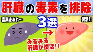 【肝臓改善】自力で肝臓の毒素を排除する方法５選について解説してみた【老廃物/抑制/肝臓に良い食べ物/悪い食べ物】