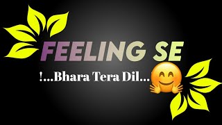 Feeling Se Bhara Tera Dil Female Version Status|Feeling Se Bhara Tera Dil Female Version Song Status