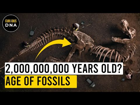 What do scientists date fossils with?