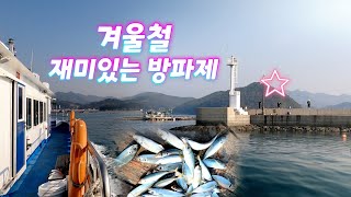 [통영로기] 411회 오랫만에 국민생선이 1타 1피 마리수가 나오네요. 겨울철에 신기하네