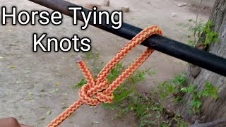 Horse 🐴 Tying Knots #how #knots #horse 👌@sajjad12455