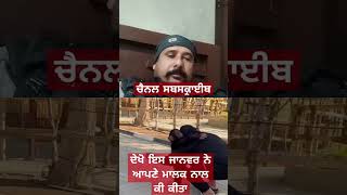 ਦੇਖੋ ਕੀ ਕੀਤਾ ਇਸ ਜਾਨਵਰ ਨੇ ਆਪਣੇ ਮਾਲਕ ਨਾਲ #funny #1किलो #comedy #aajkasonekabhavkyahai #newsong