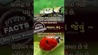 અંજાન હકીકત નું રહસ્યમય સત્ય: બગ્સ બીટલ #અકલ્પનિયfacts #shorts #youtubeshort #viralvideo #trending