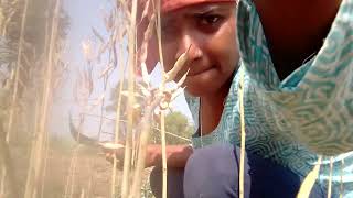 @sila tudu official #new santali fast vlog #sursa hir#