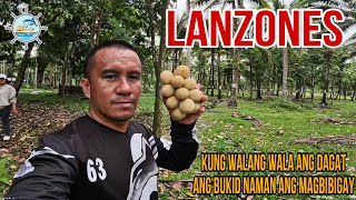 MAY BAGYO KAYA PA BUKID TAYO (harvesting Lanzones in our farm)