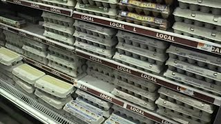 Egg prices predicted to soar more than 41% in 2025: USDA