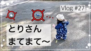 【よちよち歩き】生後11ヶ月でこのくらい歩けるようになりました【Vlog】