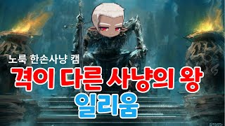 [메이플스토리] 전직업 모두 일리움 앞에서 감히 뇌빼기 사냥을 논하지 말라