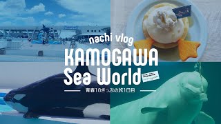 〈青春18きっぷの旅 - 1日目〉鴨川シーワールドへ / 赤ちゃんベルーガに会いたい / シャチは大きくて安定感あるなぁ〈水族館めぐり〉