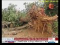 খাগড়াছড়িতে টর্নেডোর আঘাতে দুই শতাধিক ঘরবাড়ি বিধ্বস্ত channel 24 youtube