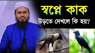 স্বপ্নে কাক উড়তে দেখলে কি হয়? | shopne kak urte dekhle ki hoy | what happens crow bird in dream |