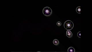 Motion graphic made by openFrameworks