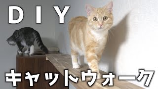 【DIY】棚を使って簡単なキャットウォークを作ってみた！