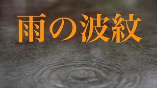 【雨の音】雨の波紋を見てリラックス　睡眠、瞑想、作業用 Relax by watching the ripples of the rain~sleep, meditation, work