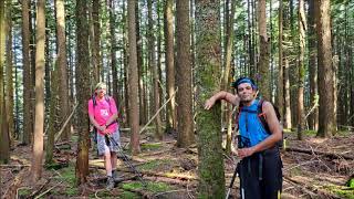 Dewdney Peak July 6, 2020