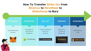 How To Transfer Shiba Inu from Binance to MetaMask to ShibaSwap to Bury