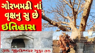 સુત્રાપાડા ગોરખમઢી ના વૃક્ષ નું સુ છે ઇતિહાસ | Gorakhnath Mdhi