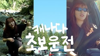 해외에서 초보운전자가 살아 남는 법..🚘ㅣ휘슬러 여행 Vlog [캐나다 워킹홀리데이]