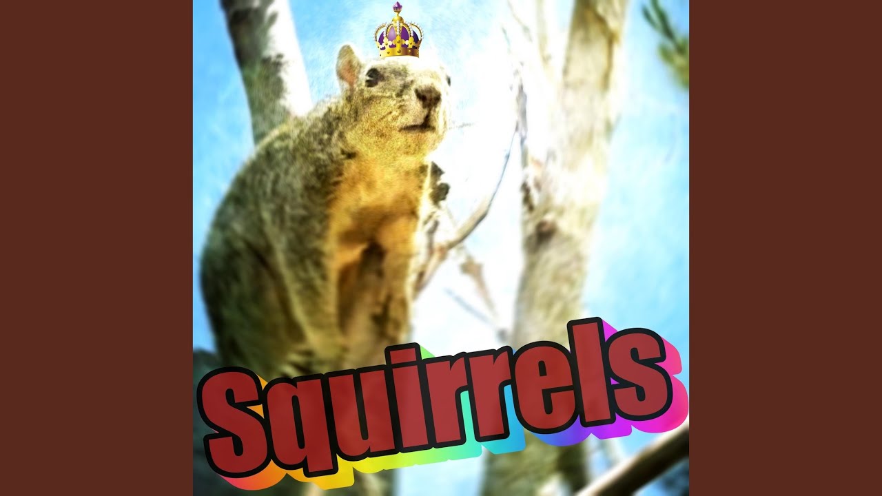 Squirrels Youtube