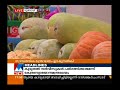 no price hike for fruits and vegetable in ramadan days at uae manorama news